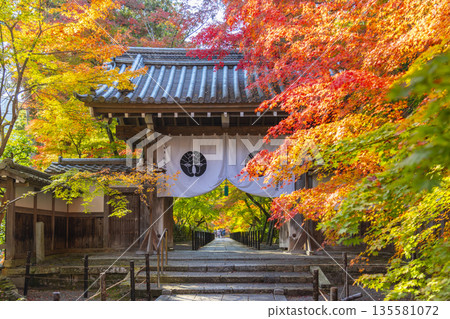 光明寺藥師門秋葉季 光明寺藥師門秋葉季 135581072