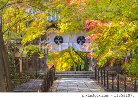 光明寺藥師門秋葉季 光明寺藥師門秋葉季 135581073