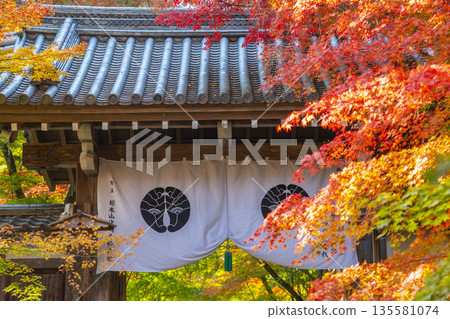 光明寺藥師門秋葉季 光明寺藥師門秋葉季 135581074