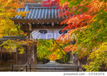 Komyo-ji Temple Yakuimon Gate Autumn Foliage Season Komyo-ji Temple Yakuimon Gate Autumn Foliage Season 135581078