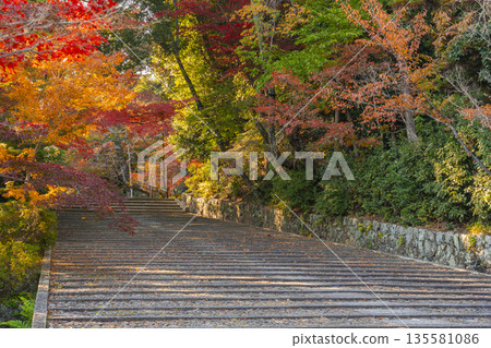 Komyo-ji Temple Omotesando (Women's Slope) Autumn - Autumn foliage season 135581086