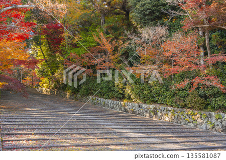 光明寺錶參道（女坡）秋季賞楓季 135581087