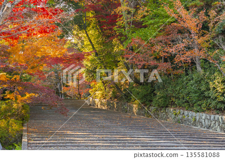 Komyo-ji Temple Omotesando (Women's Slope) Autumn Foliage Season Komyo-ji Temple Omotesando (Women's Slope) Autumn Foliage Season 135581088