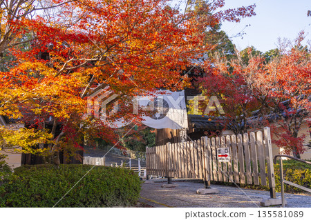 光明寺正門秋季賞楓季 135581089