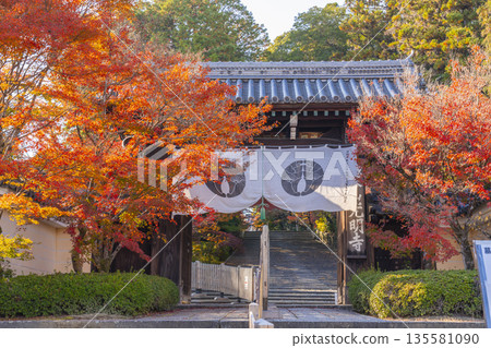 光明寺正門秋季賞楓季 光明寺正門秋季賞楓季 135581090