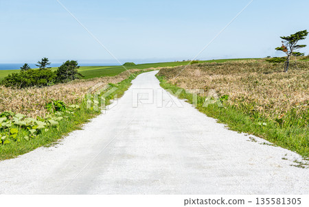Cape Soya, Wakkanai, Hokkaido - A popular tourist attraction: Cape Soya's "White Road" Cape Soya, Wakkanai, Hokkaido - A popular tourist attraction: Cape Soya's "White Road" 135581305