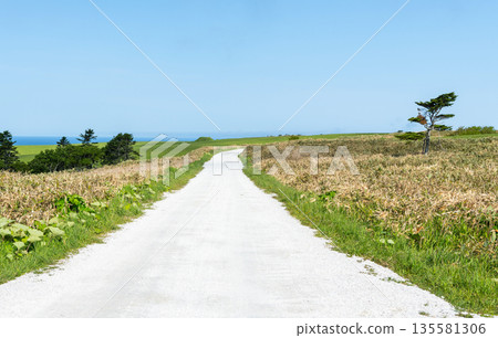 Cape Soya, Wakkanai, Hokkaido - A popular tourist attraction: Cape Soya's "White Road" Cape Soya, Wakkanai, Hokkaido - A popular tourist attraction: Cape Soya's "White Road" 135581306