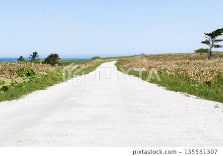 Cape Soya, Wakkanai, Hokkaido - A popular tourist attraction: Cape Soya's "White Road" Cape Soya, Wakkanai, Hokkaido - A popular tourist attraction: Cape Soya's "White Road" 135581307
