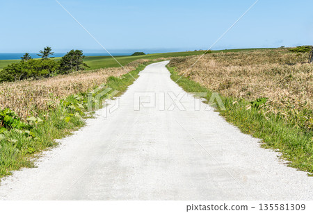 Cape Soya, Wakkanai, Hokkaido - A popular tourist attraction: Cape Soya's "White Road" Cape Soya, Wakkanai, Hokkaido - A popular tourist attraction: Cape Soya's "White Road" 135581309