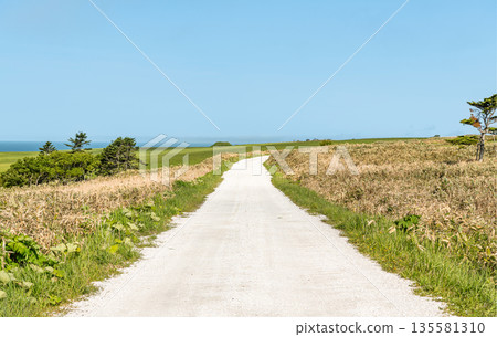 Cape Soya, Wakkanai, Hokkaido - A popular tourist attraction: Cape Soya's "White Road" Cape Soya, Wakkanai, Hokkaido - A popular tourist attraction: Cape Soya's "White Road" 135581310