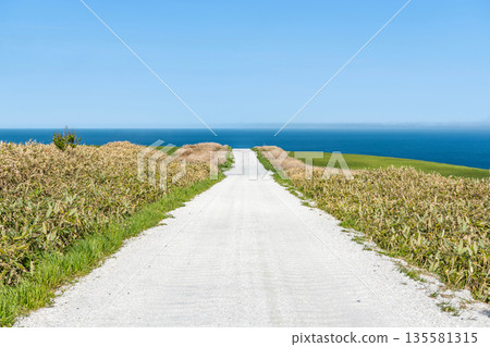 Cape Soya, Wakkanai, Hokkaido - A popular tourist attraction: Cape Soya's "White Road" and blue sea Cape Soya, Wakkanai, Hokkaido - A popular tourist attraction: Cape Soya's "White Road" and blue sea 135581315