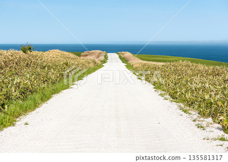 Cape Soya, Wakkanai, Hokkaido - A popular tourist attraction: Cape Soya's "White Road" and blue sea Cape Soya, Wakkanai, Hokkaido - A popular tourist attraction: Cape Soya's "White Road" and blue sea 135581317
