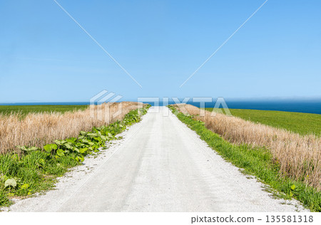 Cape Soya, Wakkanai, Hokkaido - A popular tourist attraction: Cape Soya's "White Road" and blue sea Cape Soya, Wakkanai, Hokkaido - A popular tourist attraction: Cape Soya's "White Road" and blue sea 135581318