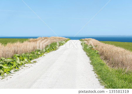 Cape Soya, Wakkanai, Hokkaido - A popular tourist attraction: Cape Soya's "White Road" Cape Soya, Wakkanai, Hokkaido - A popular tourist attraction: Cape Soya's "White Road" 135581319
