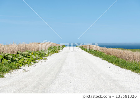 Cape Soya, Wakkanai, Hokkaido - A popular tourist attraction: Cape Soya's "White Road" Cape Soya, Wakkanai, Hokkaido - A popular tourist attraction: Cape Soya's "White Road" 135581320