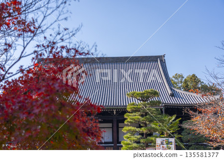 光明寺，禦江堂，秋季，紅葉季 135581377