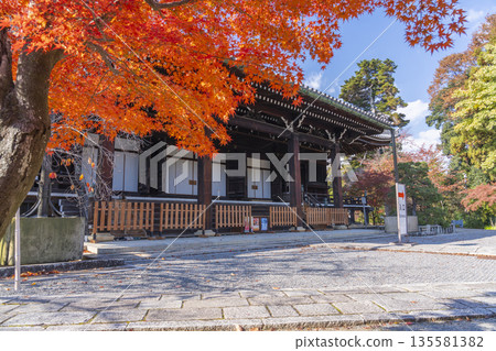 Komyo-ji Temple, Miedo Hall, Autumn, Autumn Foliage Season Komyo-ji Temple, Miedo Hall, Autumn, Autumn Foliage Season 135581382