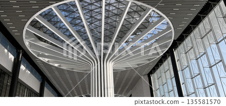 Modern architectural ceiling design with geometric pattern. Novosibirsk airport interior detail. Contemporary structure, abstract line art. Russia, Novosibirsk, Tolmachevo - January 20, 2026. Modern architectural ceiling design with geometric pattern. Novosibirsk airport interior detail. Contemporary structure, abstract line art. Russia, Novosibirsk, Tolmachevo - January 20, 2026. 135581570