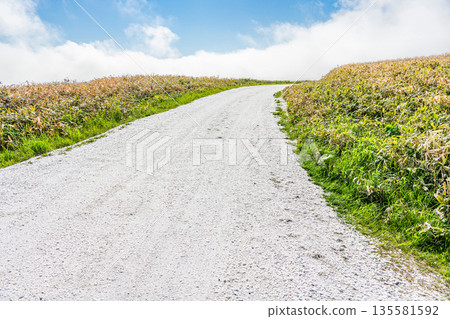 Cape Soya, Wakkanai, Hokkaido - A popular tourist attraction: Cape Soya's "White Road" Cape Soya, Wakkanai, Hokkaido - A popular tourist attraction: Cape Soya's "White Road" 135581592