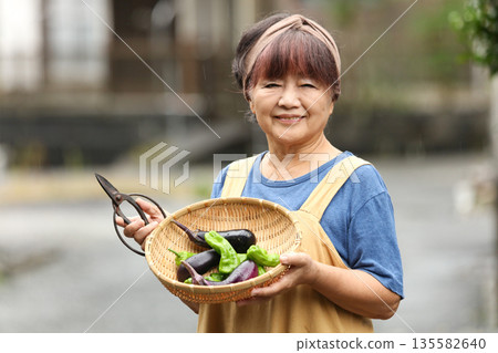 Women with harvested vegetables Women with harvested vegetables 135582640