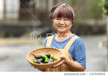 婦女與收穫的蔬菜 135582642