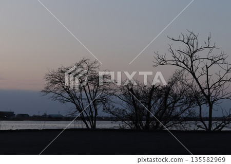 Trees of Lake Togo and Hawai Onsen town on the opposite bank at dusk in early spring Trees of Lake Togo and Hawai Onsen town on the opposite bank at dusk in early spring 135582969