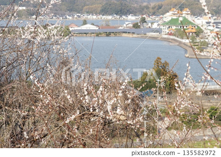 Pond Togo and the Chinese garden Enchoen overlooked from the plum grove on the hill Pond Togo and the Chinese garden Enchoen overlooked from the plum grove on the hill 135582972