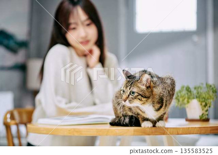 A woman petting a cat on a table A woman petting a cat on a table 135583525