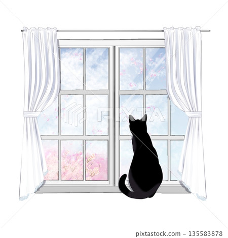 從窗口看外面的貓 從窗口看外面的貓 135583878