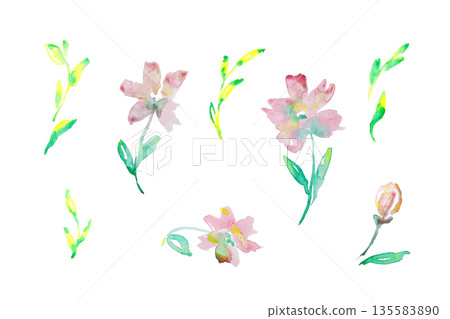 Watercolor Pink Floral Elements Set Isolated Watercolor Pink Floral Elements Set Isolated 135583890
