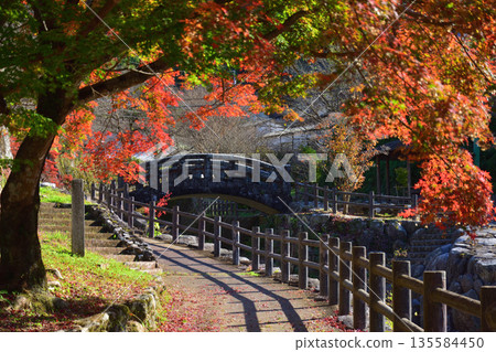 Autumn leaves at Okawauchiyama Autumn leaves at Okawauchiyama 135584450