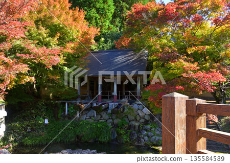 Autumn leaves at Okawauchiyama Autumn leaves at Okawauchiyama 135584589