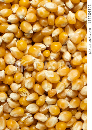 Top view of a heap of golden corn kernels for popcorn 135584591