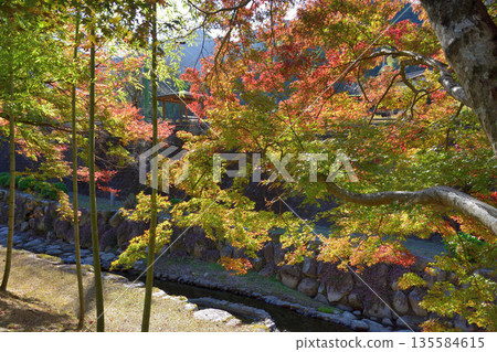 Autumn leaves at Okawauchiyama Autumn leaves at Okawauchiyama 135584615