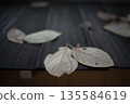 落葉 135584619