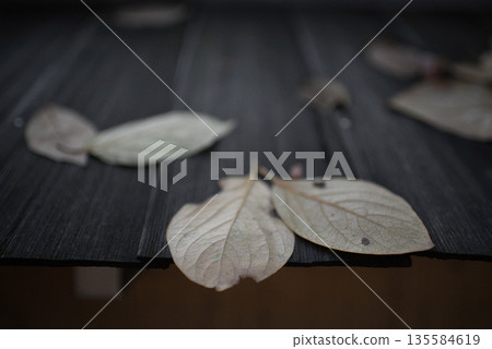 落葉 落葉 135584619