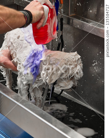 Wet white dog being bathed with soap in stainless steel tub Wet white dog being bathed with soap in stainless steel tub 135584717