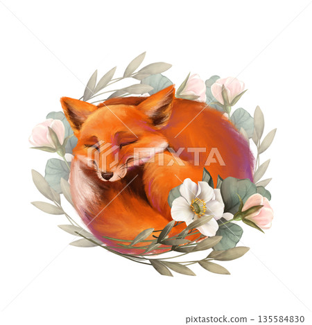 Hand-drawn illustration of a cute fox curled up and sleeping in a wreath of flowers. Design for floral or animal-themed projects. Hand-drawn illustration of a cute fox curled up and sleeping in a wreath of flowers. Design for floral or animal-themed projects. 135584830