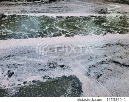 目黑河花筏 目黑河花筏 135584941