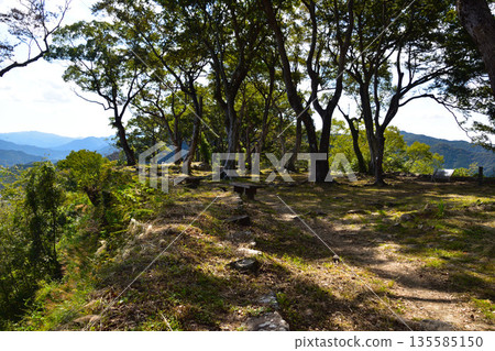 齋木城主塔 135585150