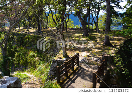 Saiki Castle Main Tower 135585372