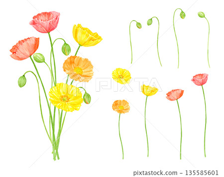 Watercolor poppy bouquet set 135585601