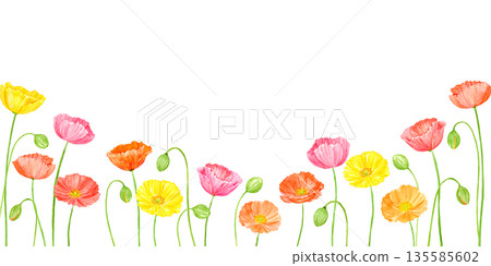 色彩繽紛的水彩罌粟花框 135585602