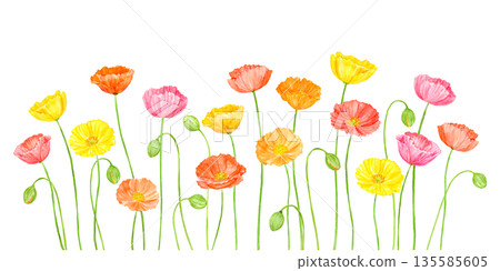 水彩畫中色彩繽紛的罌粟花田 135585605