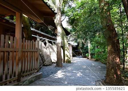 冬天的熱田神宮 135585621