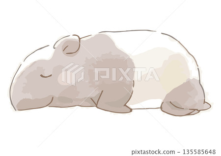 一組柔和的水彩畫，為一天畫下句點 | 睡著的貘 135585648