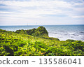 Sea viewed from the coast 135586041