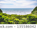 Sea viewed from the coast 135586042