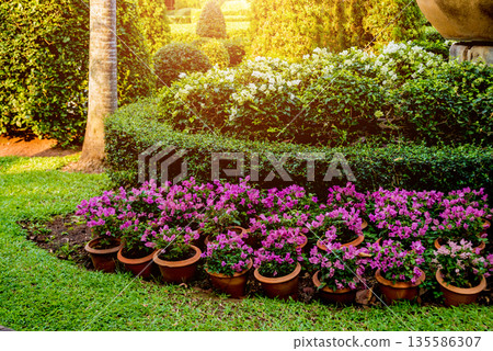 Luxury landscape design of the tropical garden. 135586307
