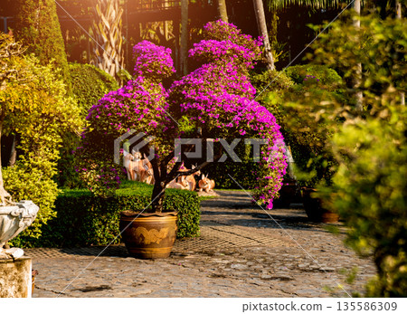 Luxury landscape design of the tropical garden. 135586309